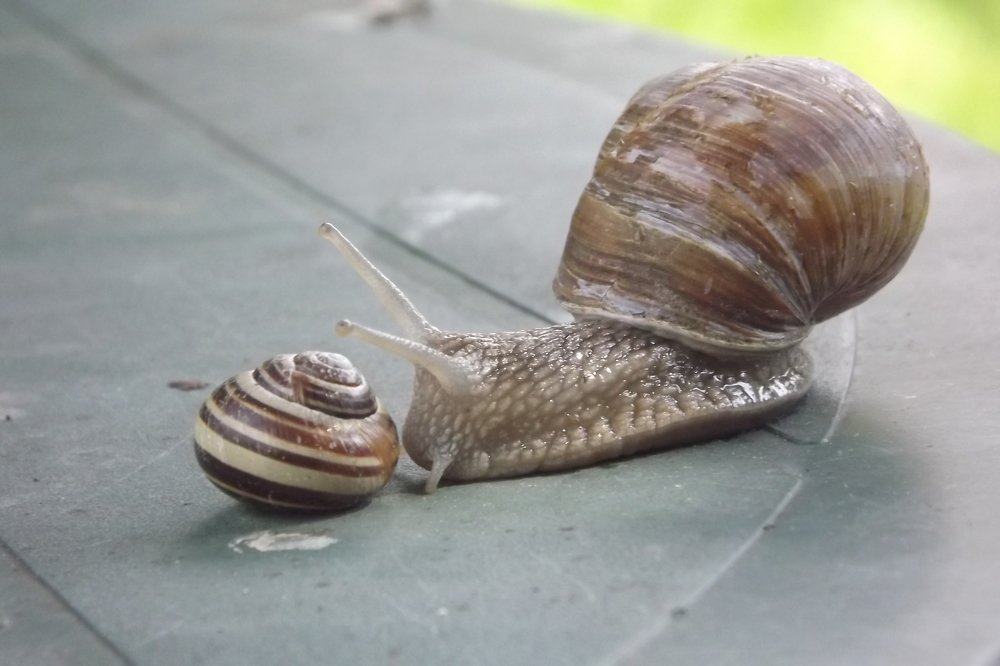 Photograph by Евгений Савулькин