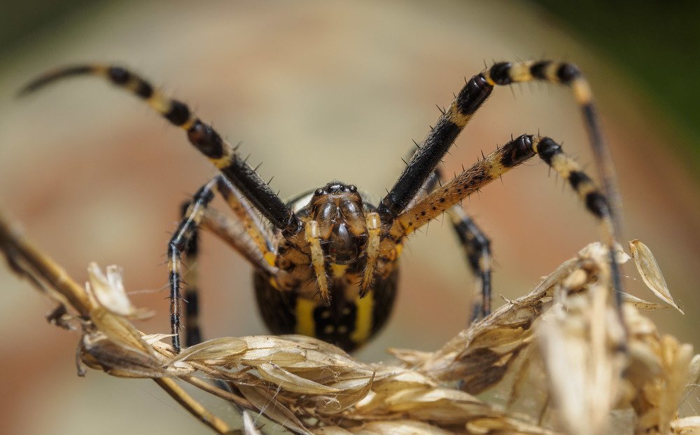 Photograph by Сергей Харитон