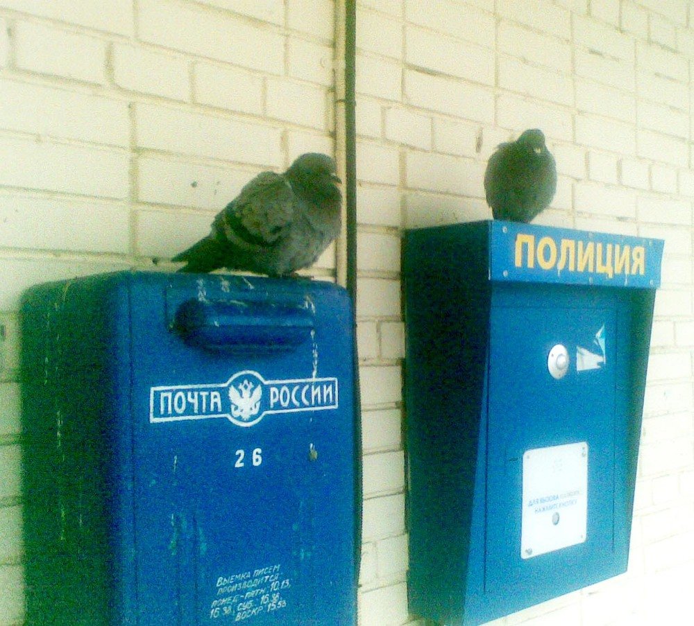 Оперативные службы