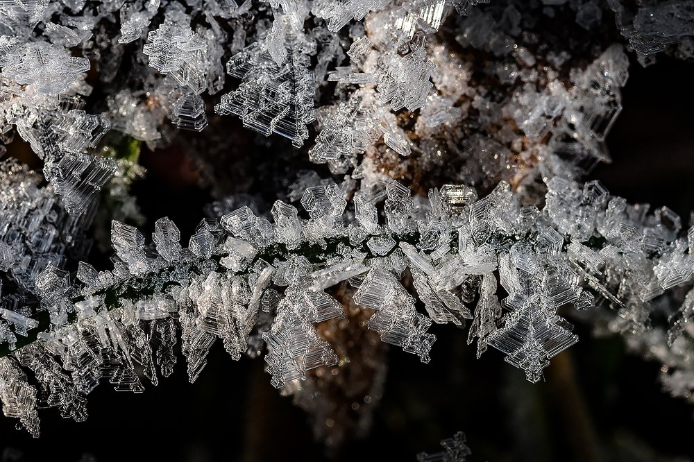 Photograph by Сергей Духанин