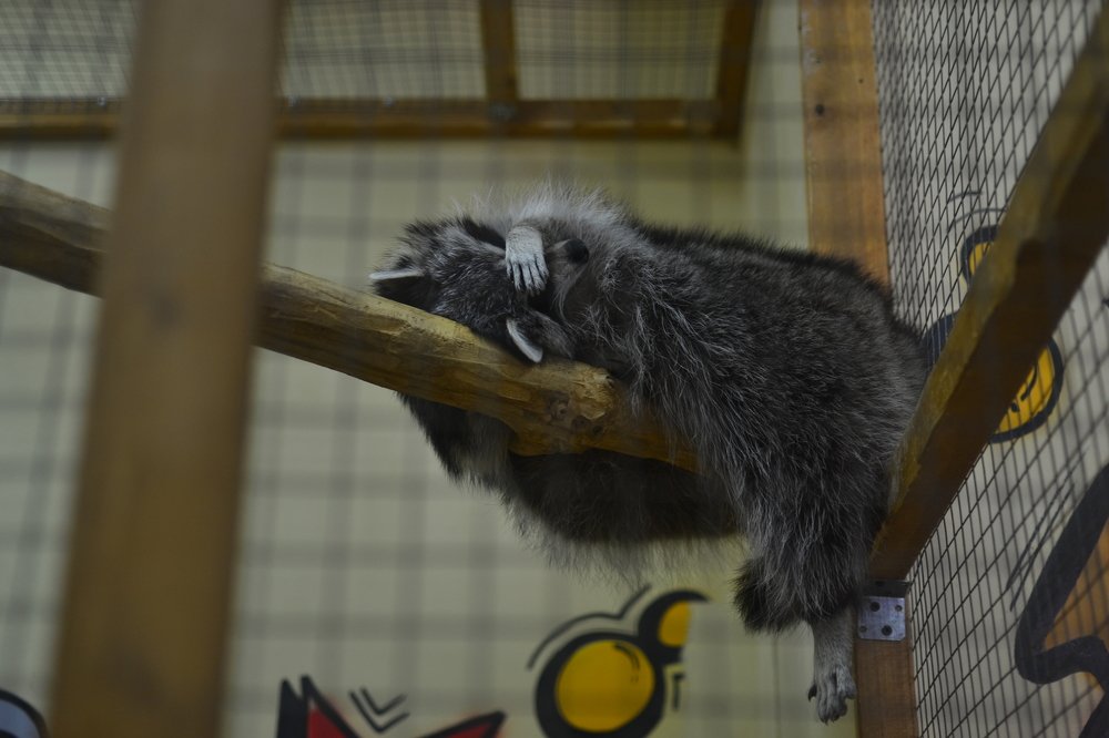 Photograph by Екатерина Измайлова