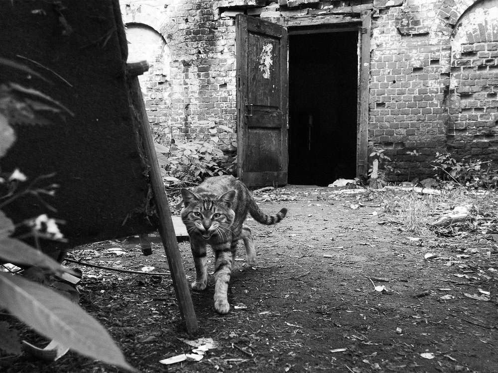 Photograph by Екатерина Измайлова