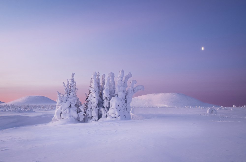 Photograph by Евгений Кудымов