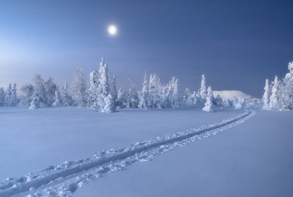 Photograph by Евгений Кудымов