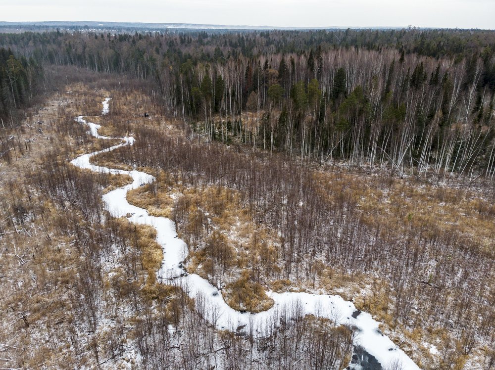 Фотография автора Андрей Логвинович