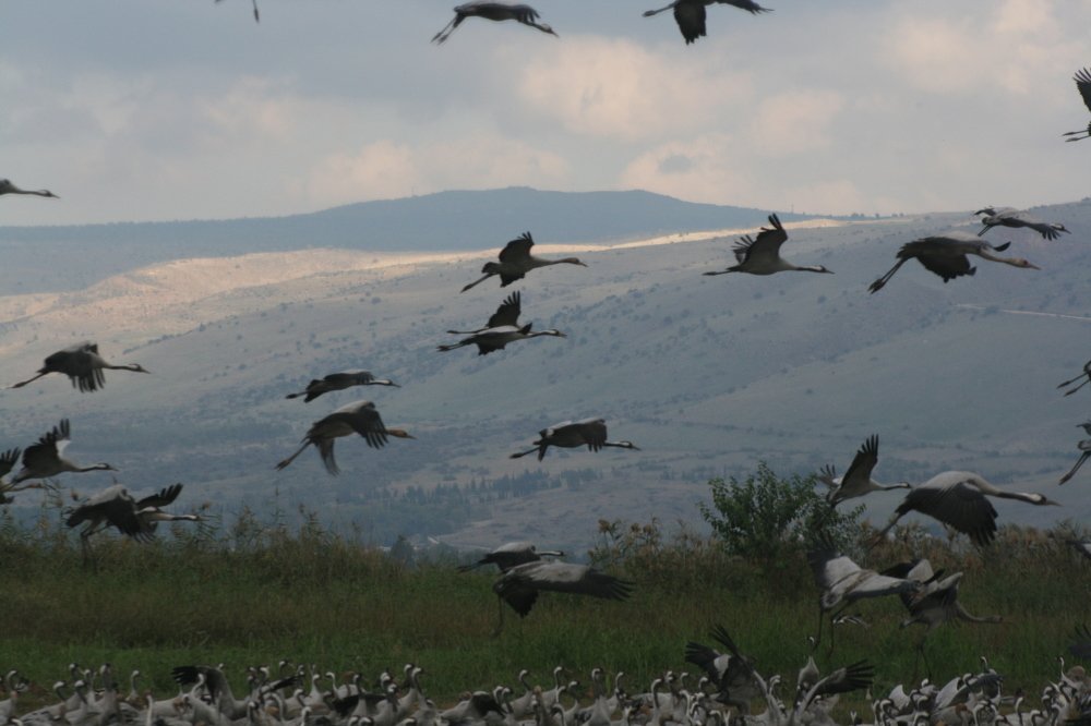 Photograph by Евгений Рабинович