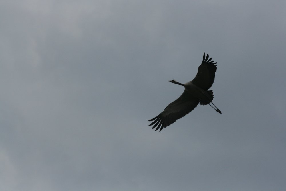 Photograph by Евгений Рабинович