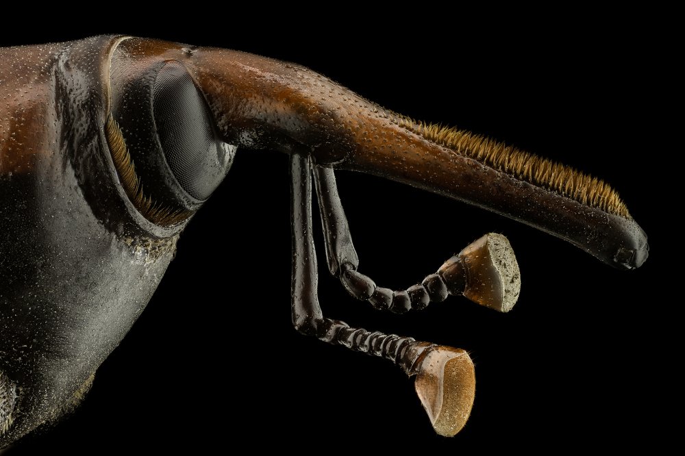 Фотография автора Ahmed Ramadan