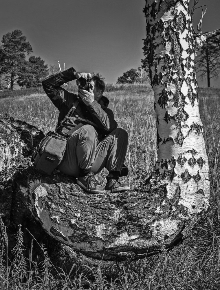 Фотограф на дереве