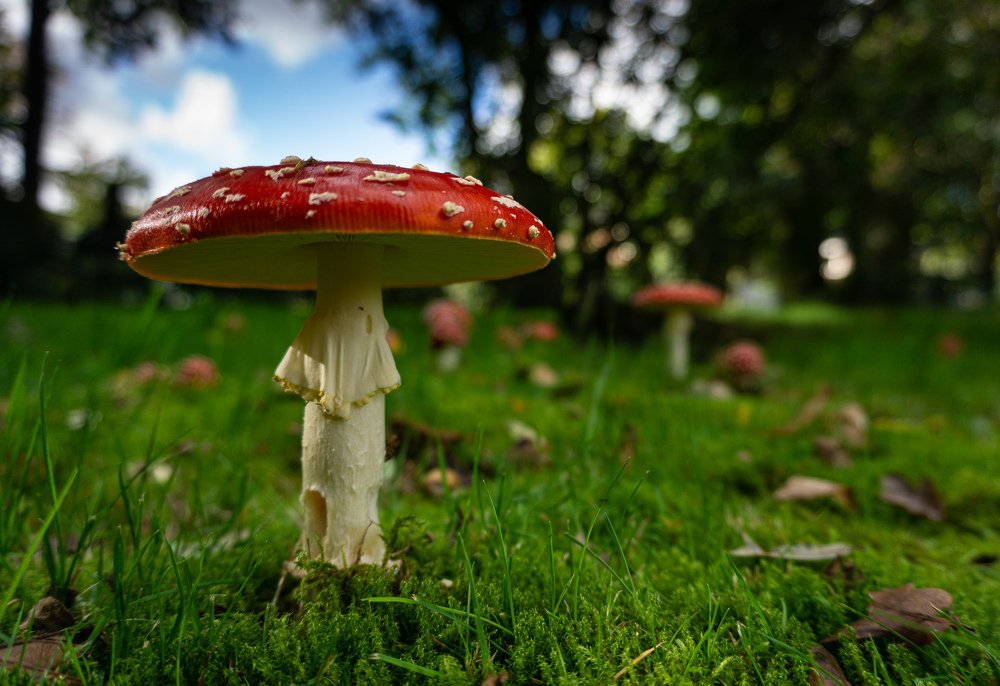 Photograph by Ecel Roja Sandalo