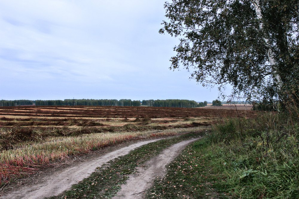 осенний пейзаж