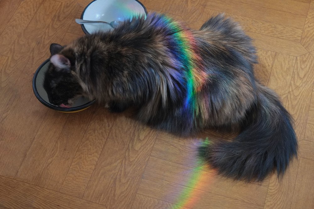 Photograph by Мария Причиненко