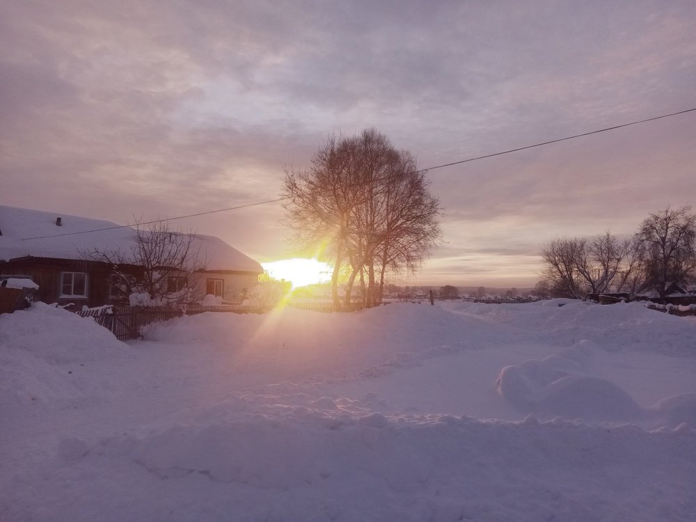 Photograph by Viktor