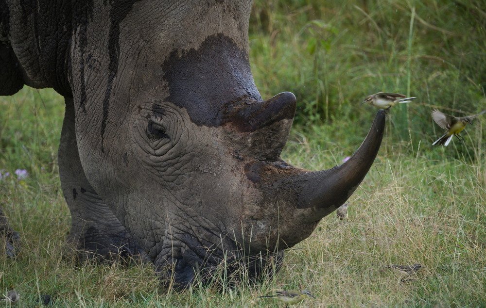 Photograph by Ilya Kartchevski