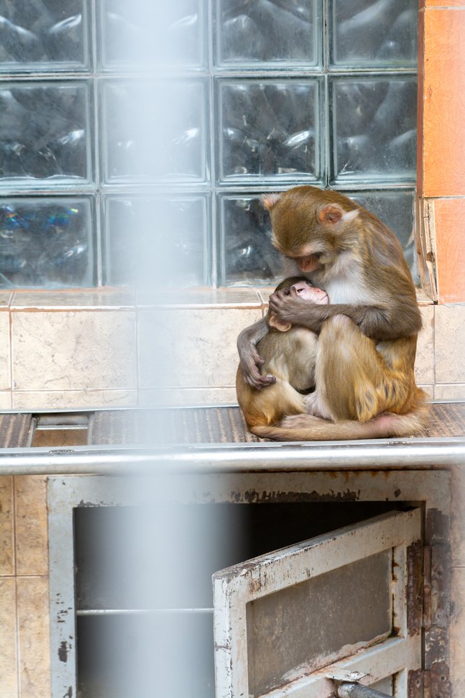 Photograph by Дзись Оксана