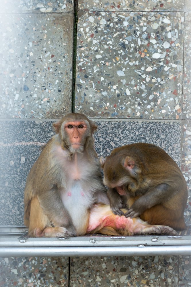 Photograph by Дзись Оксана