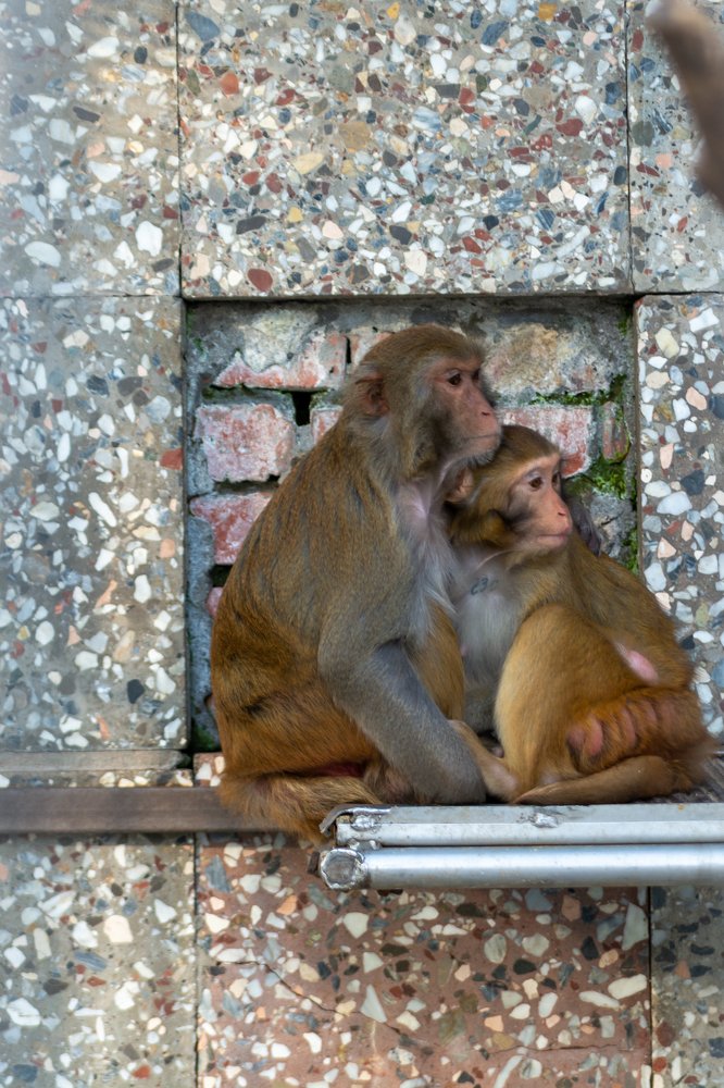 Photograph by Дзись Оксана