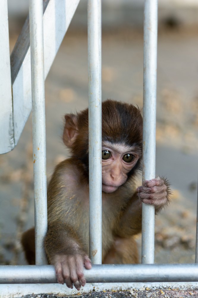 Photograph by Дзись Оксана