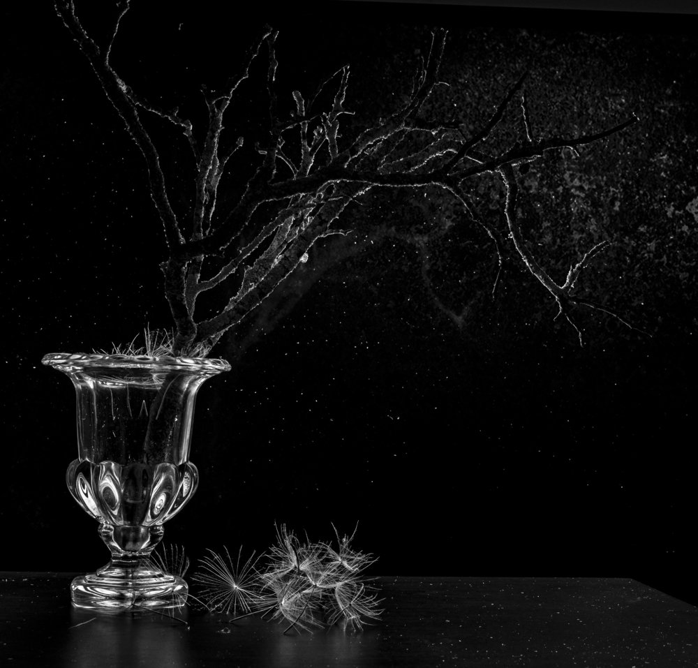 Photograph by mehmet enver karanfil