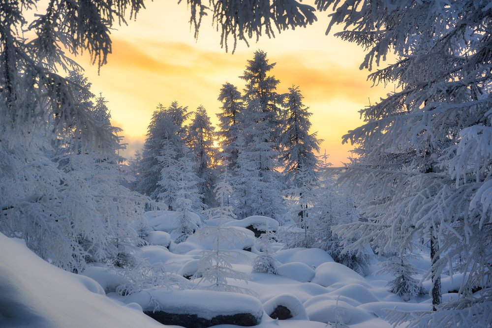 Закат в тайге.