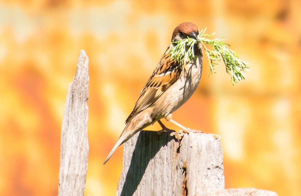 Photograph by Елена Прохорова