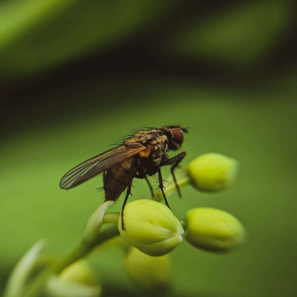 Photograph by Зайнаб Шукурова