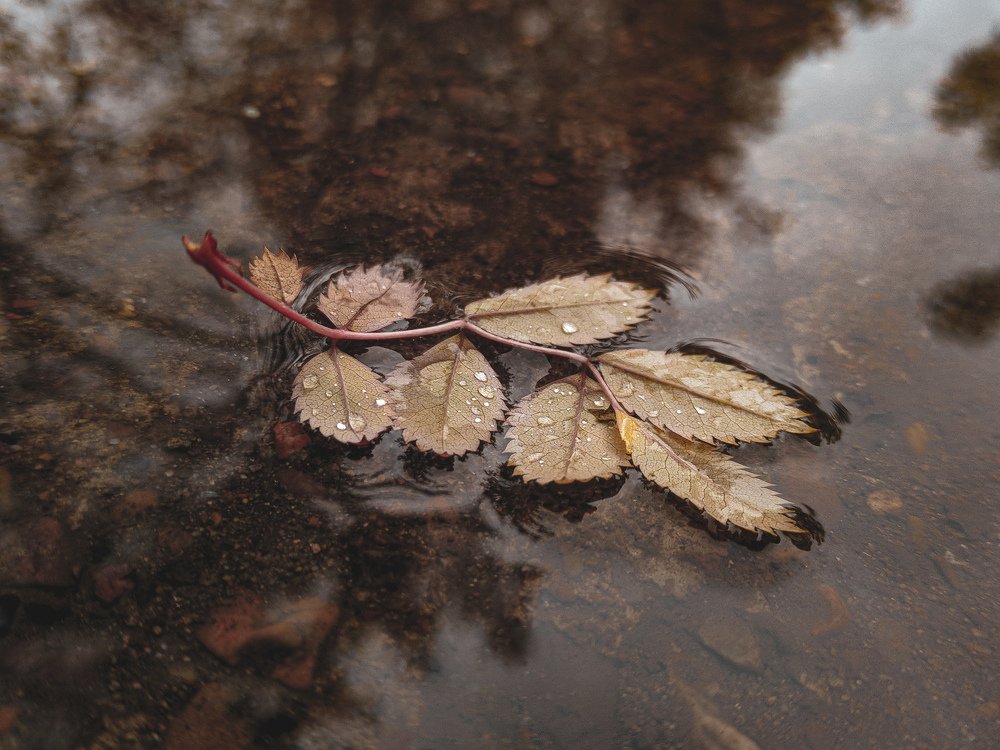 Photograph by Зайнаб Шукурова