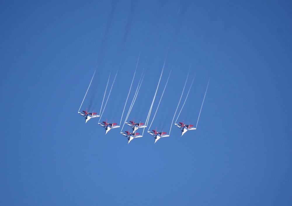 ПОЛЕТ СТРИЖЕЙ