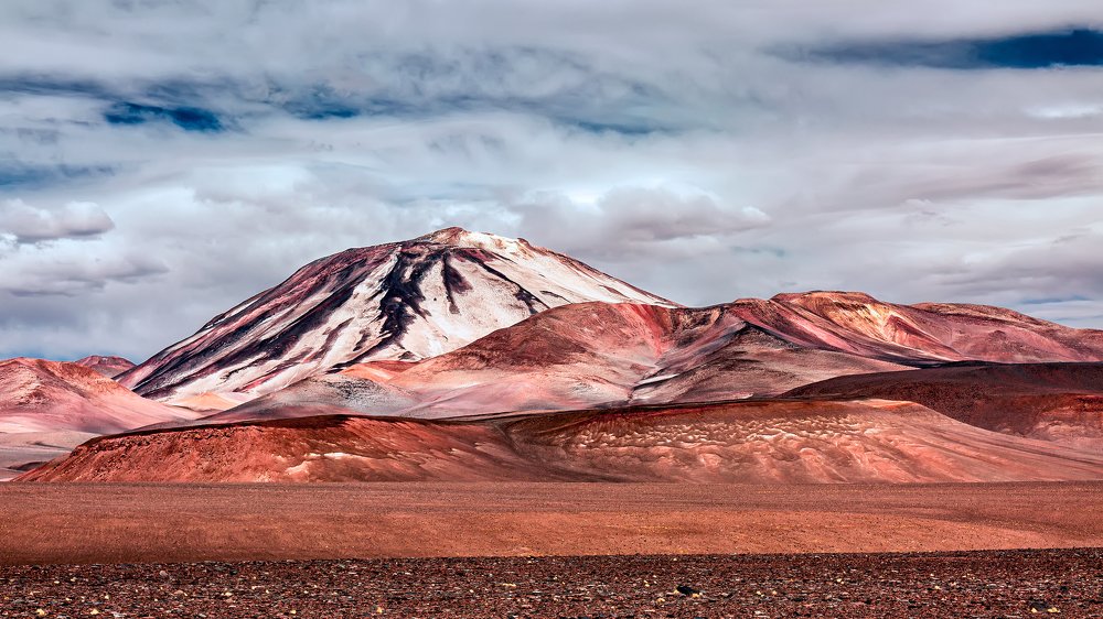 Фотография автора Carlos Gianoli