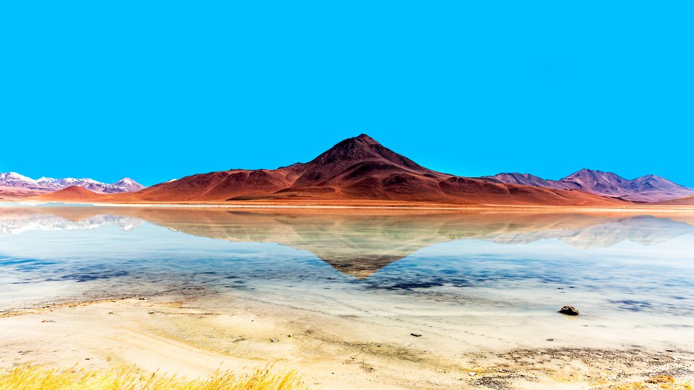 Фотография автора Carlos Gianoli