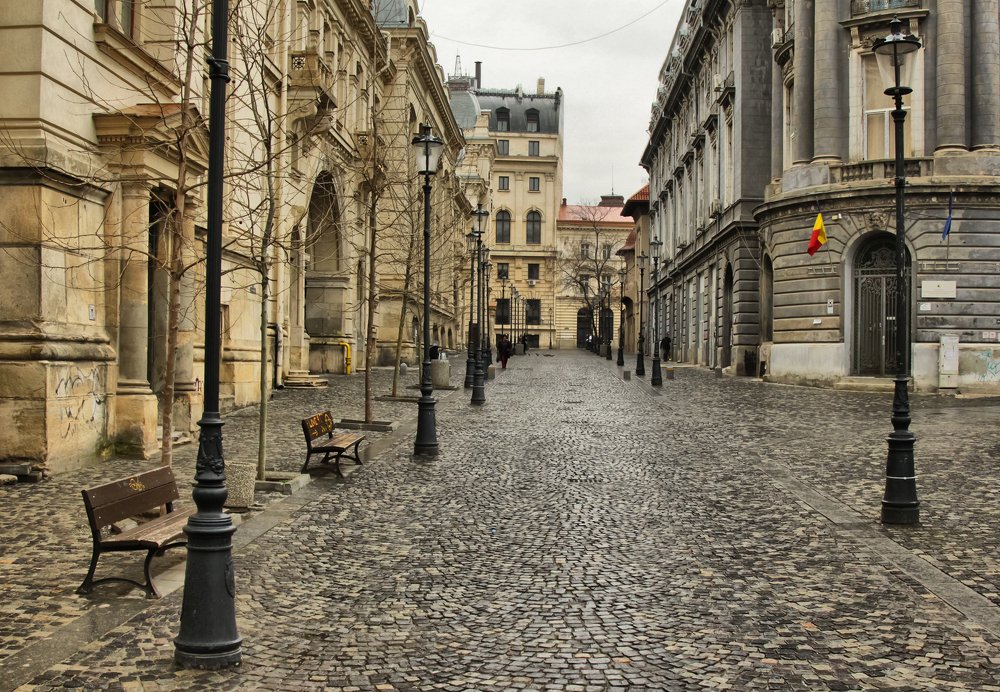 Photograph by Comșa Bogdan