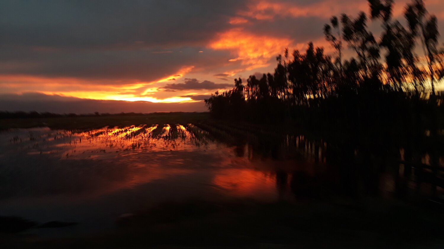 Photo #3930259