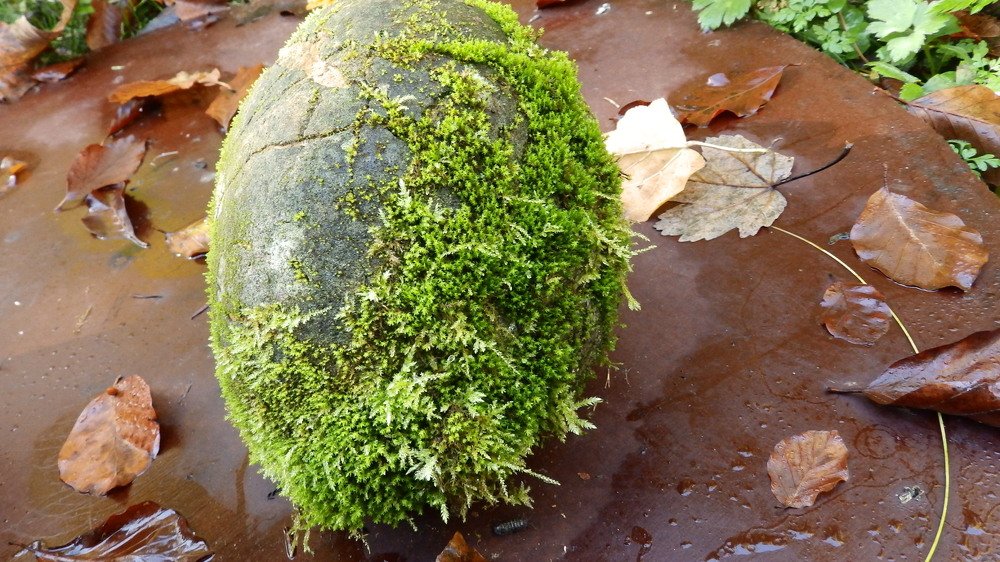 Photograph by Suzana Šimek