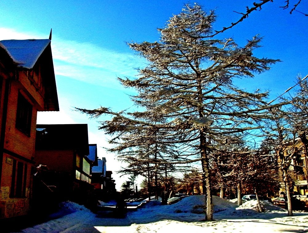 Photograph by леонид натапов