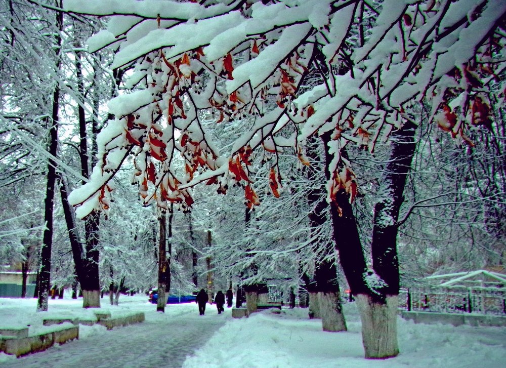 Photograph by леонид натапов