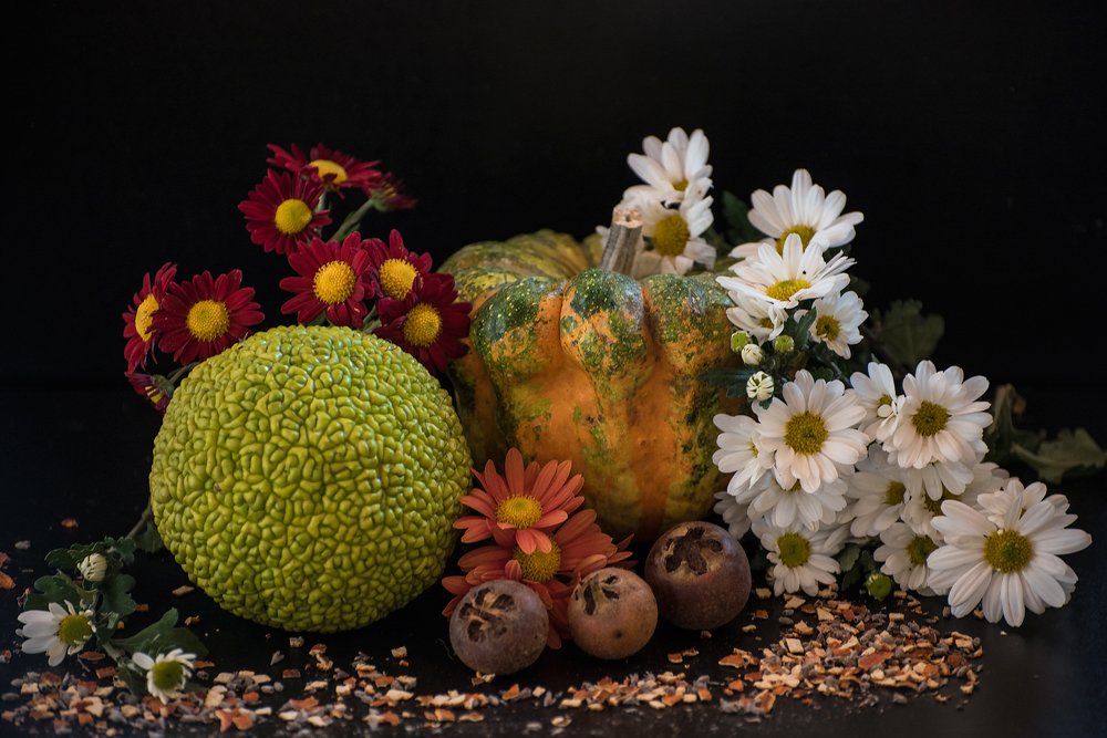 Photograph by Svetlana Milcheva