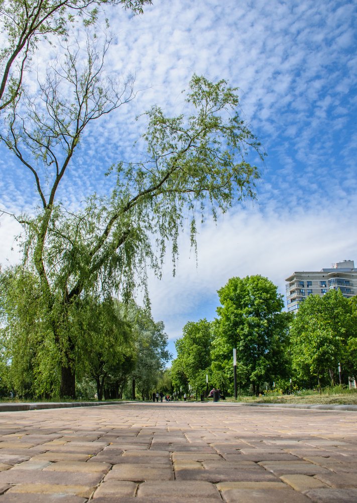 Photograph by Татьяна Мельник