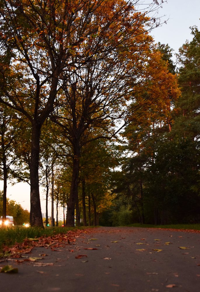 Photograph by Татьяна Мельник