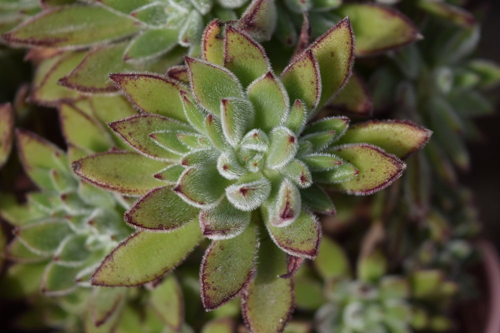 Photograph by Beatriz Games