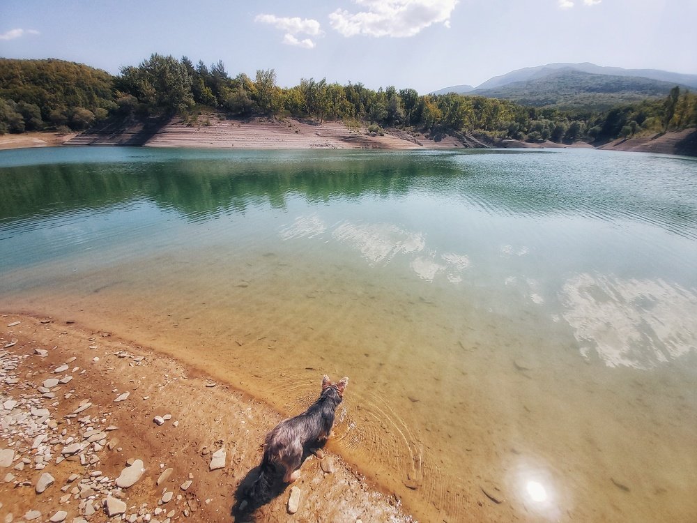 Photograph by Анна