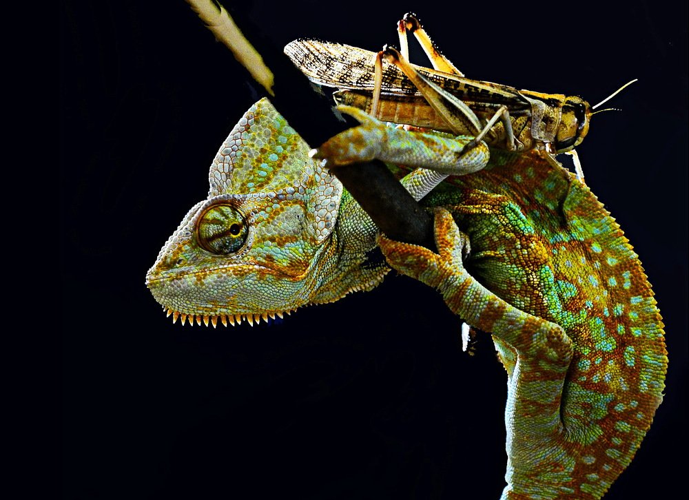 Опасное содружество