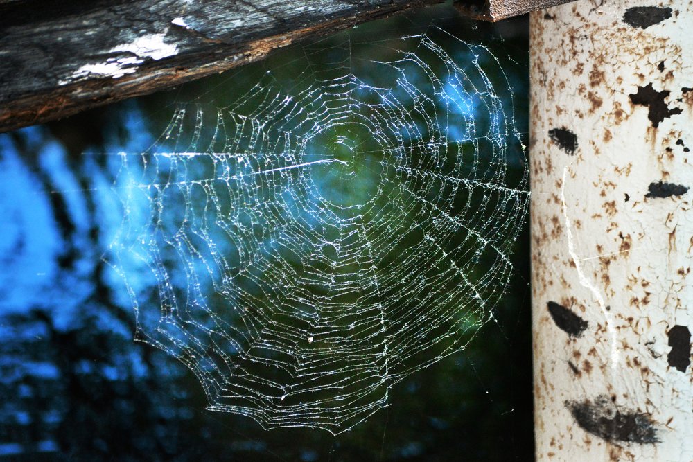 Photograph by Оксана Плугатарева