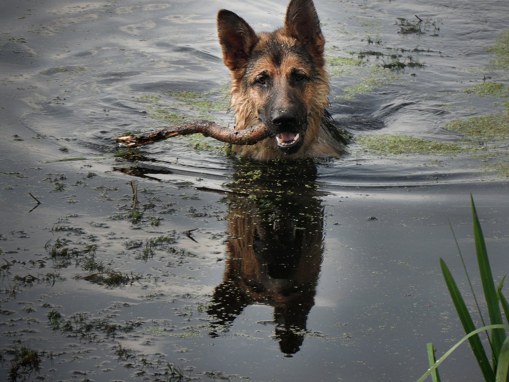 Photograph by Оксана Плугатарева