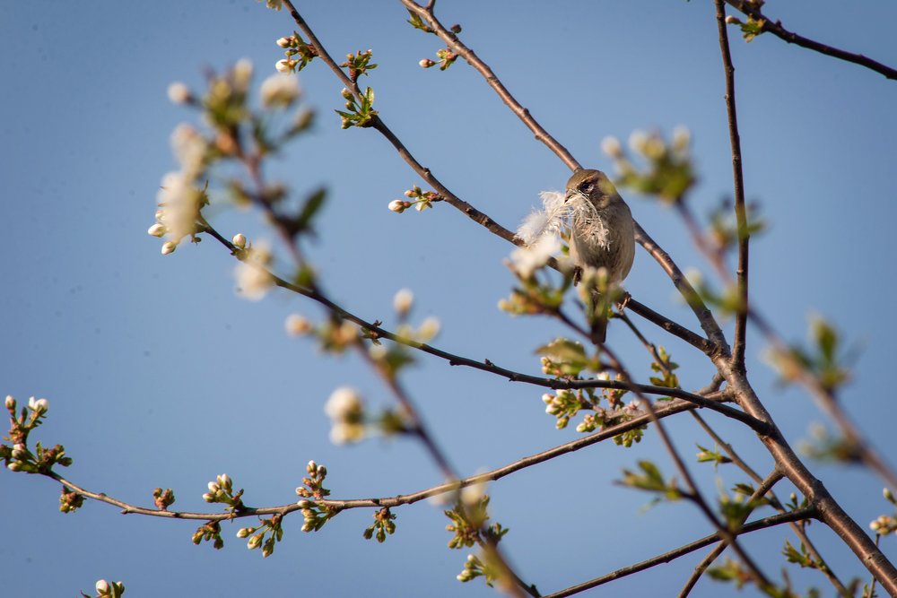 Photograph by Оксана Плугатарева