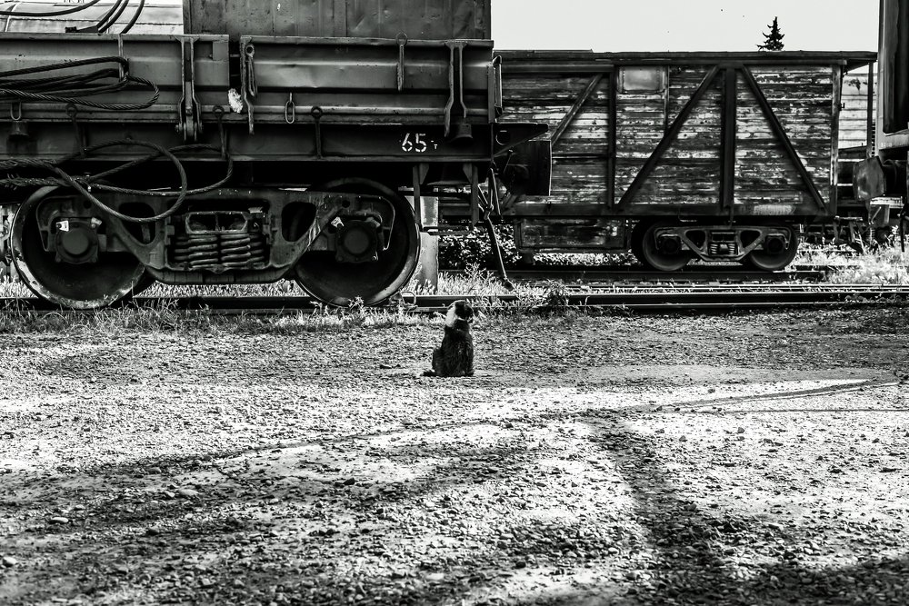 Photograph by Helen Vasilieva