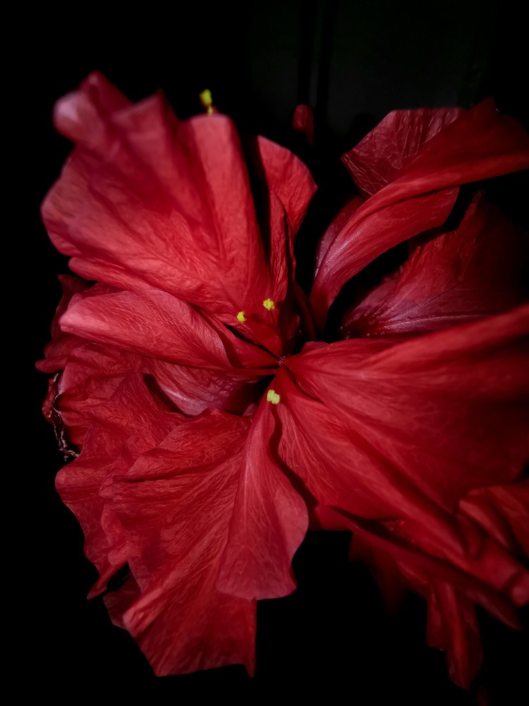 Photograph by Олег Данилевский