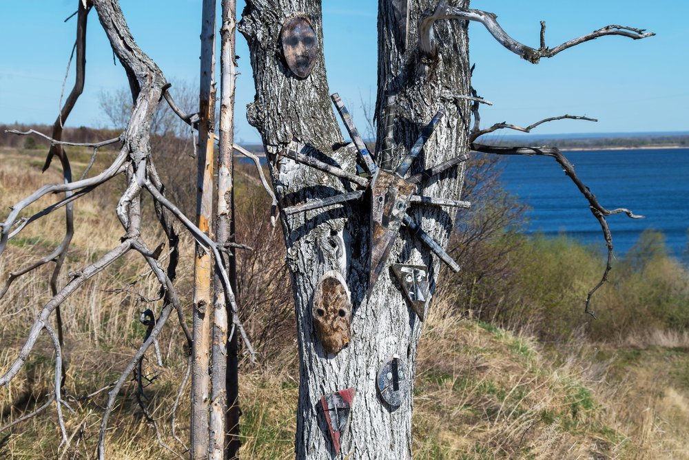 Photograph by Владимир Максимов