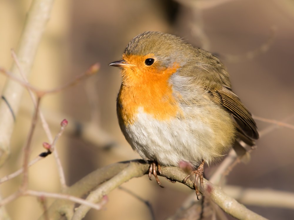 Photograph by Андрей Иванов