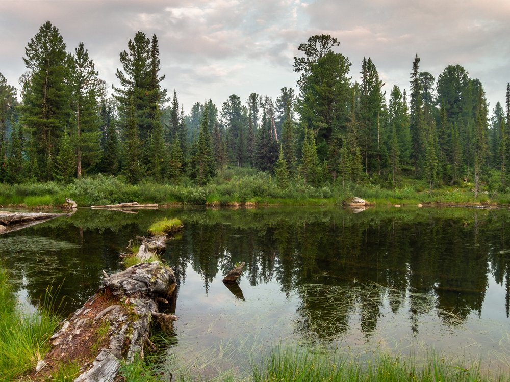 Вечер на таёжном озере