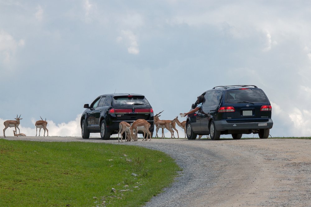 Про доверие...